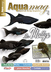 Aqua mag