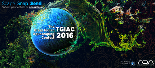 TGIAC