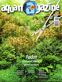 Aqua Magazine