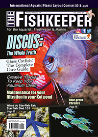 The Fishkeeper